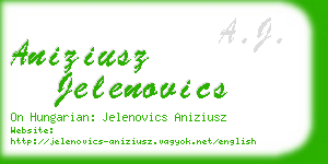 aniziusz jelenovics business card
